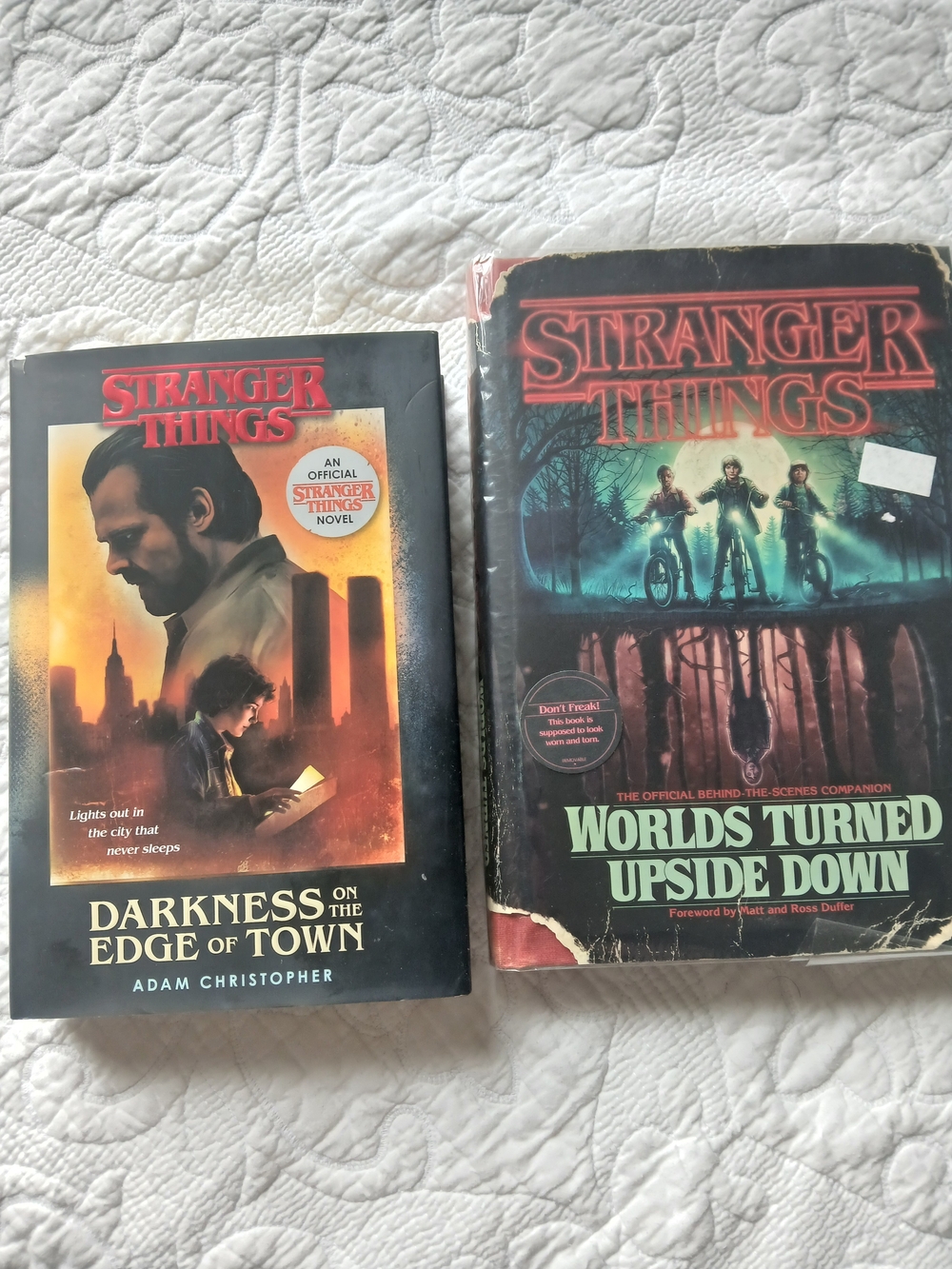 🚲Stranger Things Hardcover Books🖤
